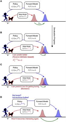 Boredom-Driven Curious Learning by Homeo-Heterostatic Value Gradients